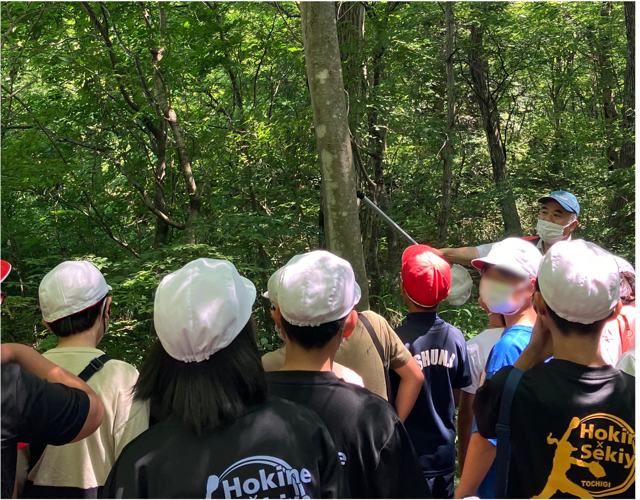 クワガタ・オオムラサキ飼育および放虫会に協力